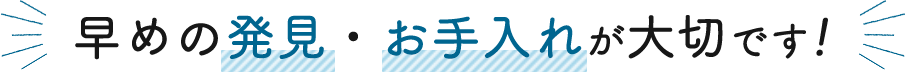 早めの発見・お手入れが大切です!