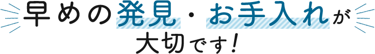 早めの発見・お手入れが大切です!